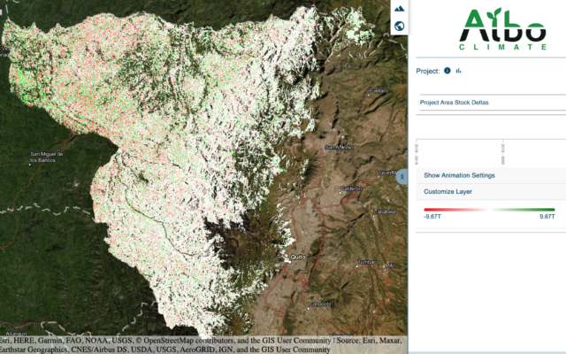 Capture d'écran d'une carte interactive montrant une section d'une forêt en Équateur où le rouge indique un manque de carbone en surface, le vert indique une augmentation et le blanc signifie aucun changement. (Crédit : Autorisation Albo Climate)