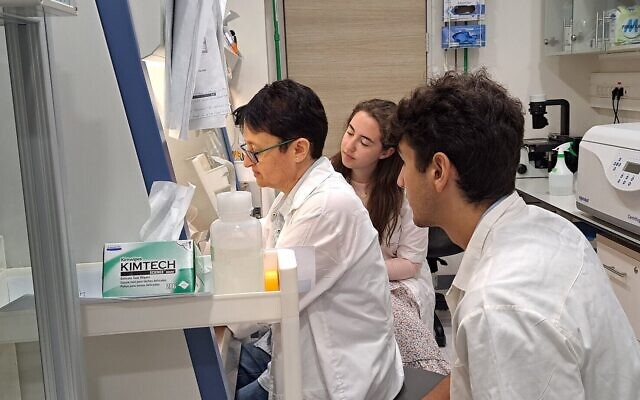 Des étudiants en médecine du programme médical américain du Technion dans un laboratoire, en août 2022. (Crédit : Technion)