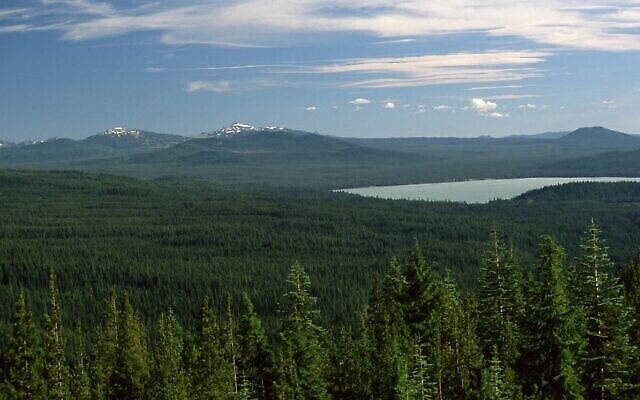 Vue de la forêt nationale d’Umpqua en Oregon, où se trouve le mont Swastika. (Domaine public)
