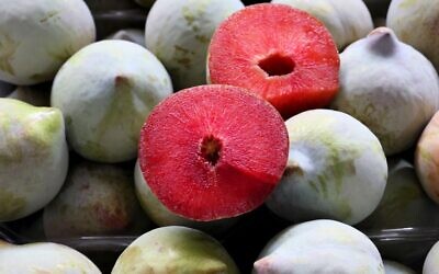 Une variété de "prune de pastèque", l'une des créations de fruits hybrides par un producteur de fruits hybrides dans le moshav de Yesod HaMa'Ala, dans le nord d'Israël, le 21 juillet 2022. (Crédit : JACK GUEZ / AFP)