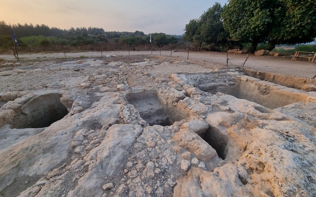 Les fouilles d'Usha. (Crédit : Shmuel Bar-Am)