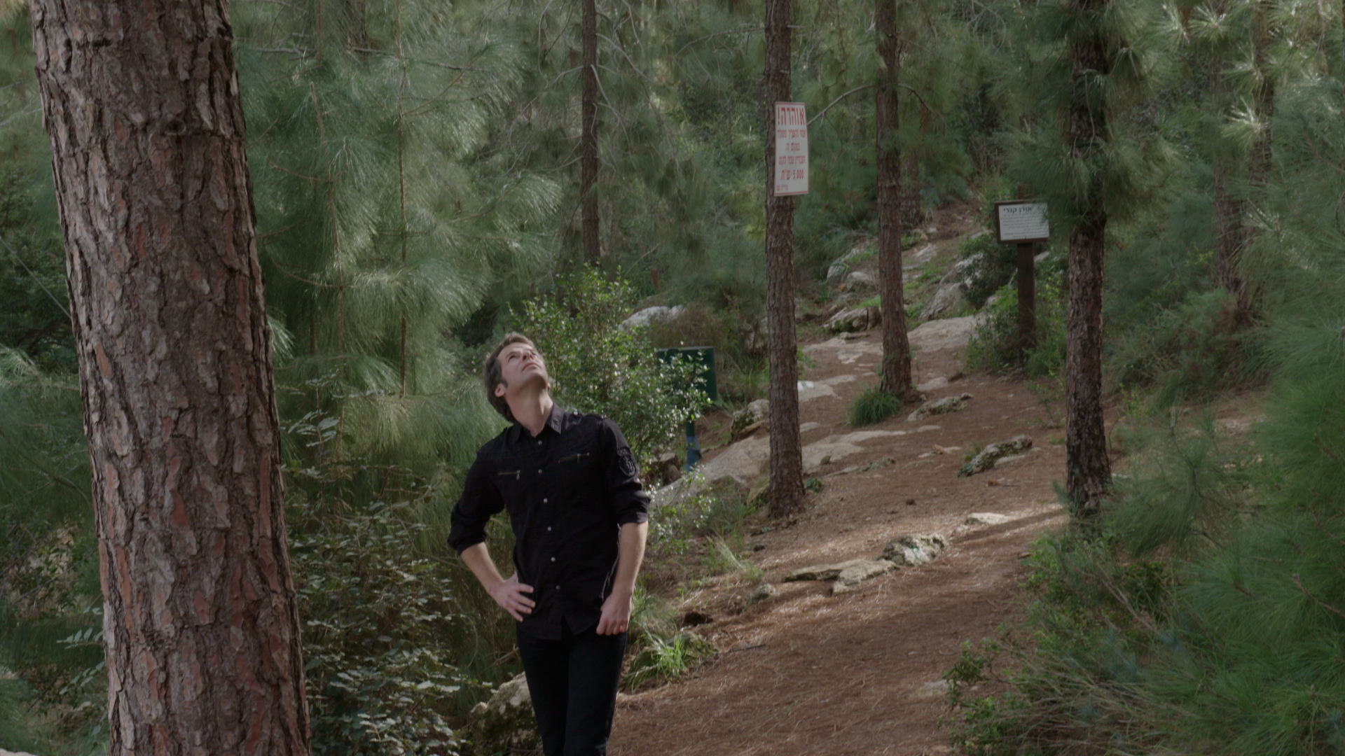 Jason Sherman se promène dans une forêt de pins en Israël à la recherche de son arbre, dans le film documentaire "My Tree". (Crédit : John Minh Tran)