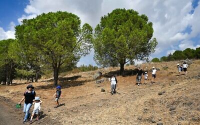 Des centaines de familles profitent de la promenade annuelle dans la nature de Katzrin et du Golan dans différents sentiers de la forêt de Katzrin, pendant la fête juive de Souccot, le 13 octobre 2022. (Crédit : Michael Giladi/Flash90)