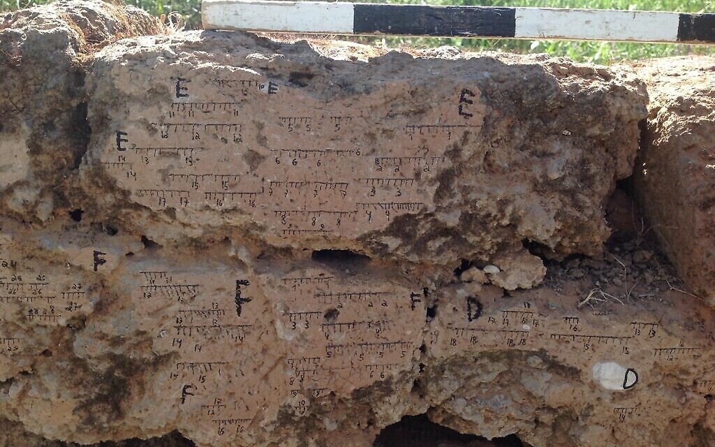 Mur de briques de boue brûlées sur le site de Tel Batash (la Timnah biblique) avec des marquages correspondant à l’orientation du champ magnétique. (Crédit : Université de Tel Aviv)