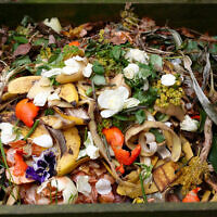 Une photo illustrative de déchets organiques destinés au compostage. (Crédit : Maerzkind via iStock by Getty Images)