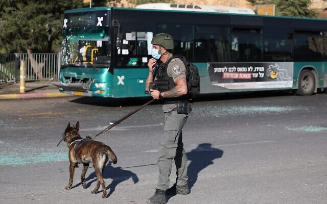 Un membre des forces de sécurité israéliennes tient un chien renifleur sur les lieux d'une explosion à un arrêt de bus à Jérusalem, le 23 novembre 2022. (Crédit : AHMAD GHARABLI / AFP)