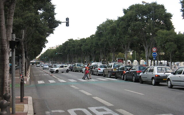 L’avenue du Prado, à Marseille. (Crédit : Michiel1972 / CC BY-SA 3.0)