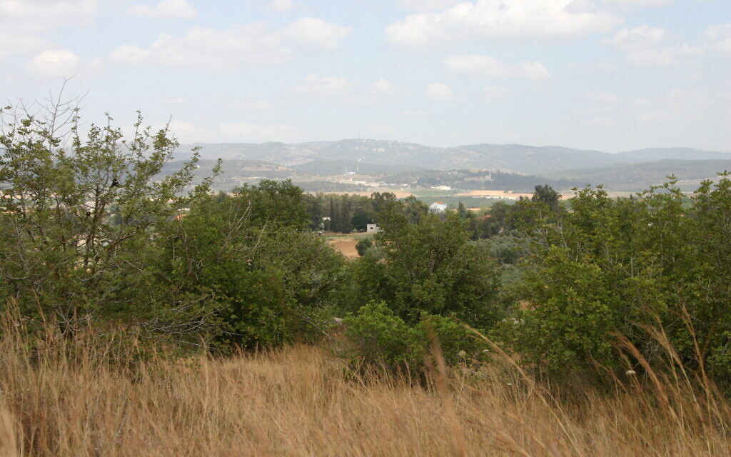 Vue panoramique du parc national de Tel Gezer. (Crédit : Shmuel Bar-Am)