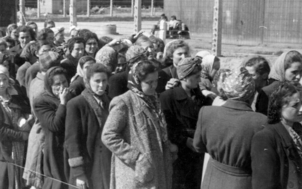 Des femmes du ghetto de Tet en Hongrie, déclarées aptes au travail, se tenant sur la plate-forme après une sélection à Auschwitz-Birkenau, en mai 1944. (Crédit : Anonyme, probablement des photographes SS E. Hoffmann & B. Walter, Domaine public, via Wikimedia Commons)