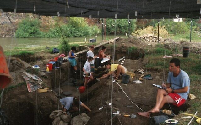 Photo non datée de fouilles sur le site de Gesher Benot Yaaqov, près du Jourdain, dans le nord d’Israël. (Crédit : Courtoisie/Université de Tel Aviv)