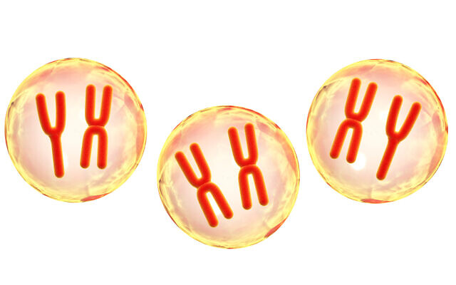 Photo d'illustration : Des chromosomes X et Y dans des cellules. (Crédit : frentusha via iStock by Getty Images)