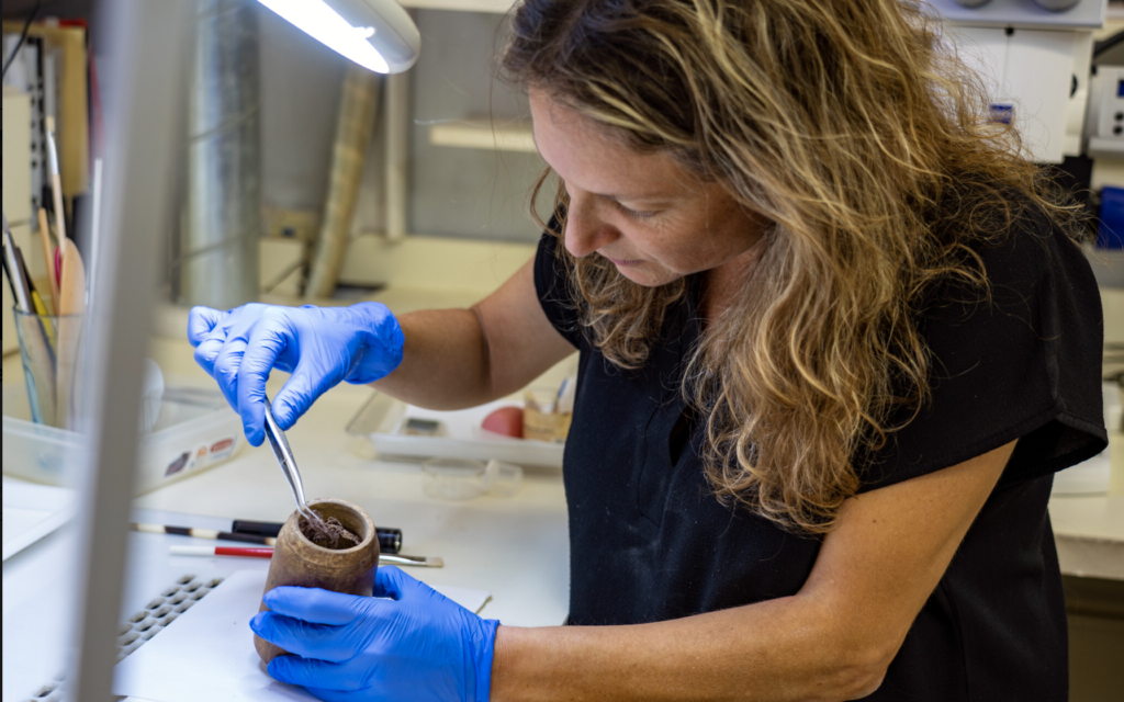 Dr. Naama Sukenik, directrice du laboratoire des matériaux organiques, soulevant le tissu en laine de la boîte en bois vieille de 2 200 ans découverte à Wadi Murabaat, près de la mer Morte, dans le laboratoire de l'IAA. (Crédit : Yaniv Berman/Autorité israélienne des Antiquités)