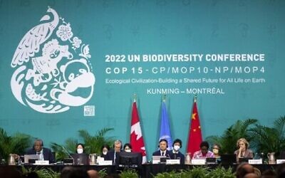 Réunion plénière lors de la Conférence des Nations unies sur la biodiversité (COP15) à Montréal, au Québec, le 19 décembre 2022. (Crédit : Lars Hagberg/AFP)