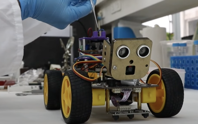 Le nouveau robot de l'Université de Tel Aviv, doté de capacités olfactives qui utilisent l'antenne d'une sauterelle (Crédit : Capture d'écran YouTube/Université de Tel Aviv)