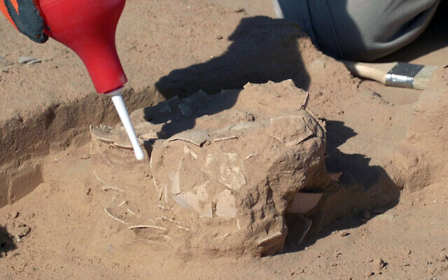 Les œufs d'autruche retrouvés dans les dunes de Nitzana, dans le désert du sud d'Israël, par les archéologues de l'Autorité des antiquités israéliennes. (Crédit : Emil Aladjem/Israel Antiquities Authority)