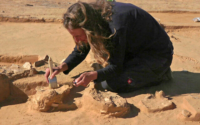 Lauren Davis, archéologue de l'Autorité des antiquités israéliennes, dans les dunes de Nitzana, dans le sud d'Israël. (Crédit :  Emil Aladjem/Israel Antiquities Authority)