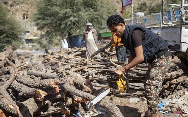 Un homme coupe des branches d'arbres avec une tronçonneuse pour faire du bois de chauffage, à la périphérie de Taez, au Yémen, le 24 février 2023. (Crédit : AHMAD AL-BASHA / AFP)