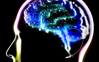 Un cerveau humain atteint de dégénérescence, représentée en vert. Image d'illustration (Crédit : Naeblys/iStock by Getty Images)