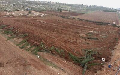 Une parcelle de terrain débarrassée de ses arbres, plantés sans autorisation par un résident d'implantations à partir du début des années 2000 dans le cadre d'un conflit avec les Palestiniens qui revendiquent la propriété du terrain, sous les ordres de l'Administration civile du ministère de la Défense, près de l'implantation de Shiloh, en Cisjordanie, le 16 février 2023. (Autorisation)