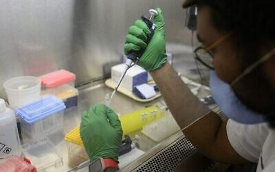 Une laborantine prépare un test pour la polio dans un laboratoire du Queens College, le 25 août 2022, à New York. (Crédit : Angela Weiss/AFP)