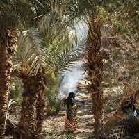 Une femme au milieu des arbres dans le village de Tagadirt dans la région oasis de Tata au Maroc le 28 février 2023. (Crédit : FADEL SENNA / AFP)
