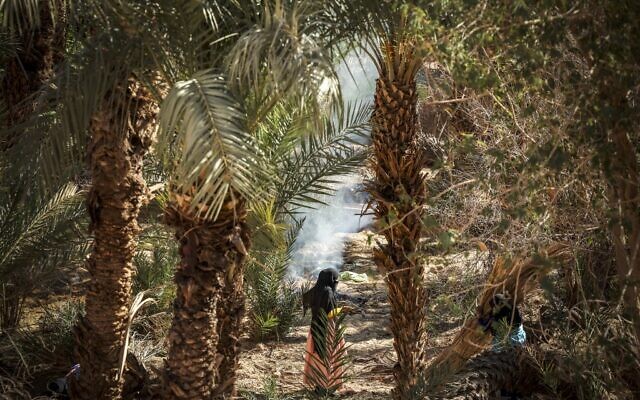 Une femme au milieu des arbres dans le village de Tagadirt dans la région oasis de Tata au Maroc le 28 février 2023. (Crédit : FADEL SENNA / AFP)