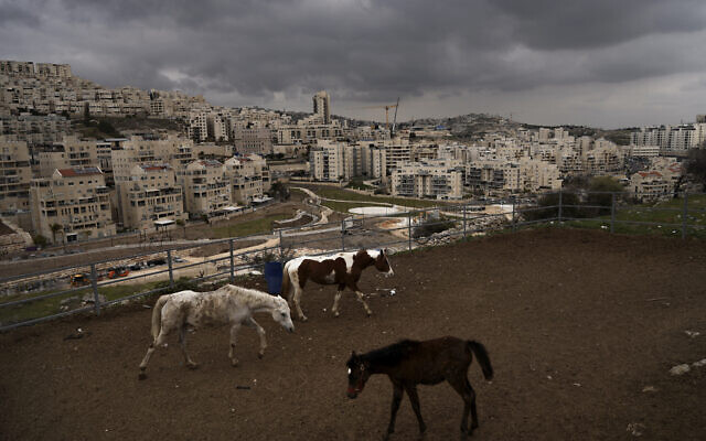 Des chevaux appartenant à une famille palestinienne dans un paddock installé devant Har Homa, une implantation israélienne de Jérusalem-Est qu'Israël considère comme un quartier de sa capitale, le 23 février 2023. (Crédit : AP Photo/Mahmoud Illean)