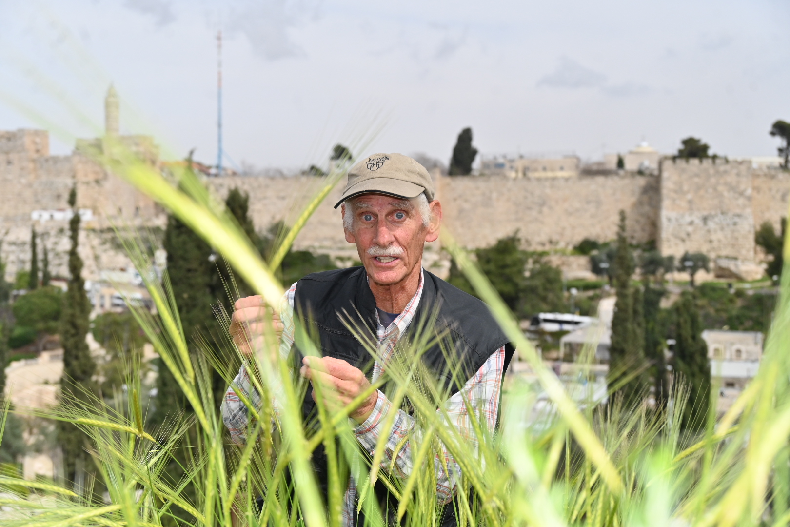 Bruce Brill examinant de l'orge, à Jérusalem, en Israël, le 22 mars 2023. (Crédit : Canaan Lidor)