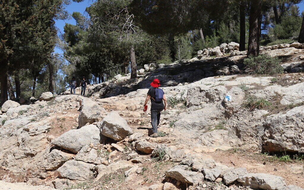 Le Cedar Trail, dans la forêt de Jérusalem.  (Crédit : Shmuel Bar-Am)