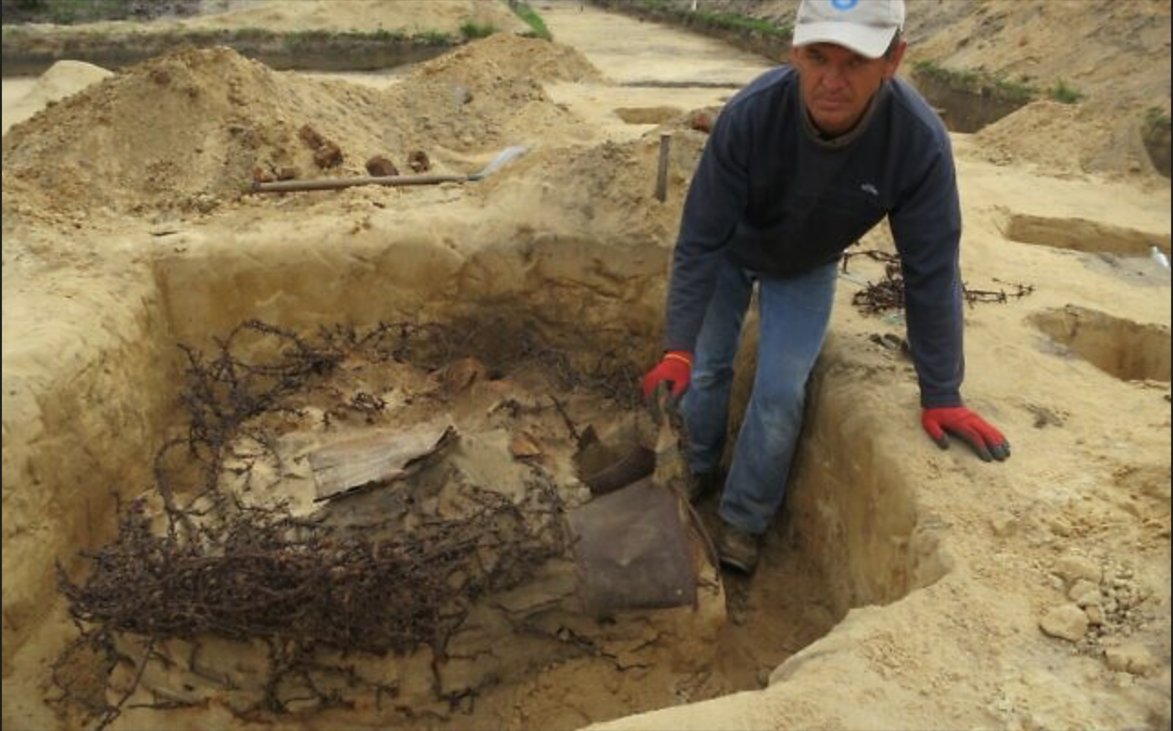 L'excavateur Grzegorz Rokita révélant une fosse de barbelés dans le camp I de Sobibor lors des fouilles de 2014. (Crédit : Gary Hochman)