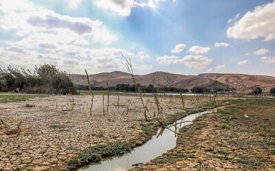 Illustration : Un ruisseau dans le parc de Yeruham, dans le sud d'Israël, le 21 octobre 2021. (Crédit : Yossi Aloni/Flash90)