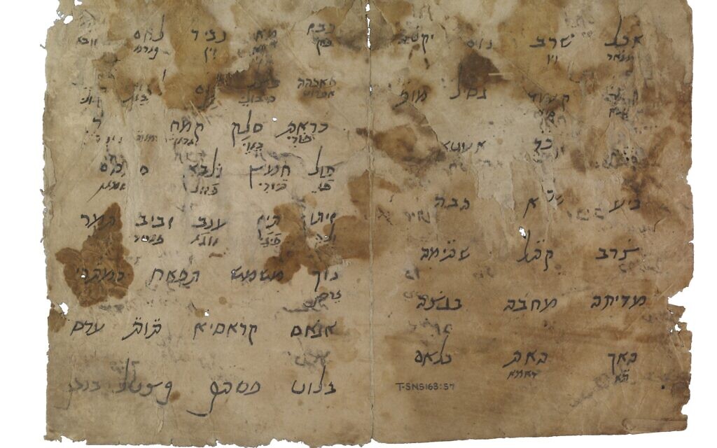 Une partie de la liste manuscrite des mots attribués à Maïmonide, provenant de l'Unité de recherche Genizah de l'université de Cambridge. (Crédit : Université de Cambridge/José Martínez Delgado)