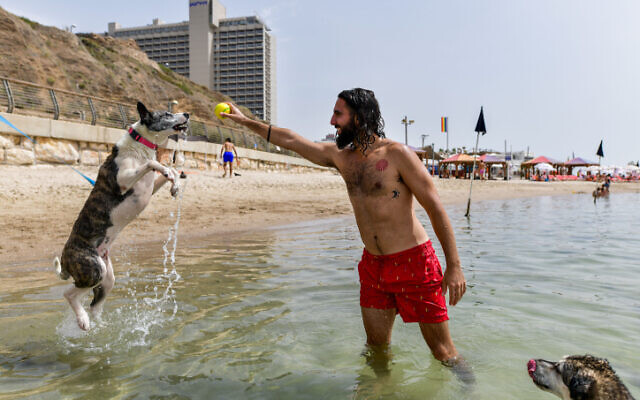Des Israéliens profitant de la plage lors d'une chaude journée d'été, à Tel Aviv, le 2 juin 2023. (Crédit : Avshalom Sassoni/Flash90)