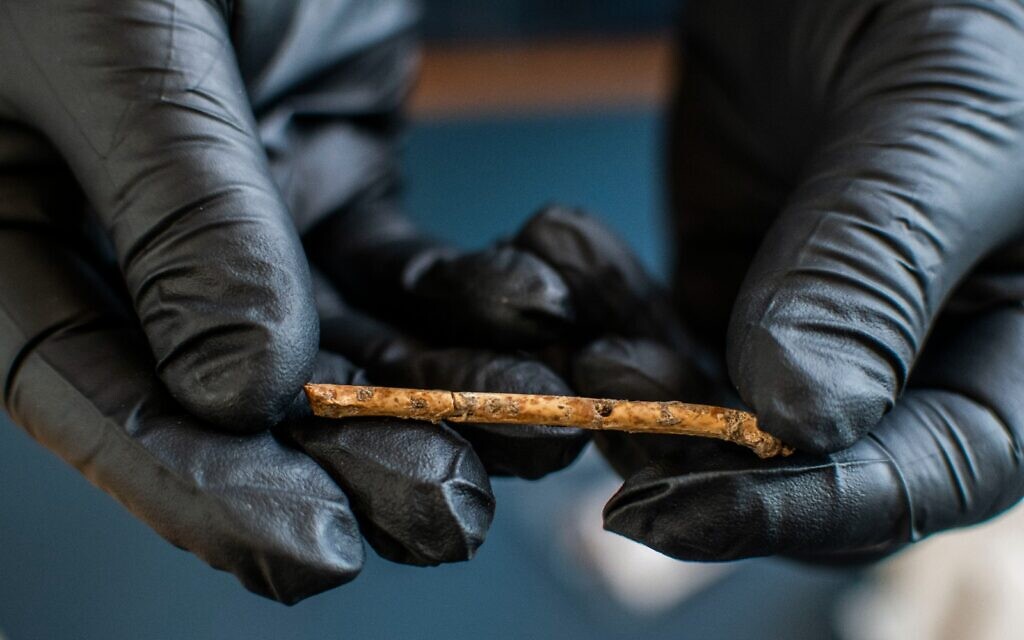  Les minuscules trous de doigts percés avec des serres à intervalles réguliers dans la flûte vieille de 12 000 ans découverte dans le nord d'Israël. (Crédit : Hamoudi Khalaily/IAA)