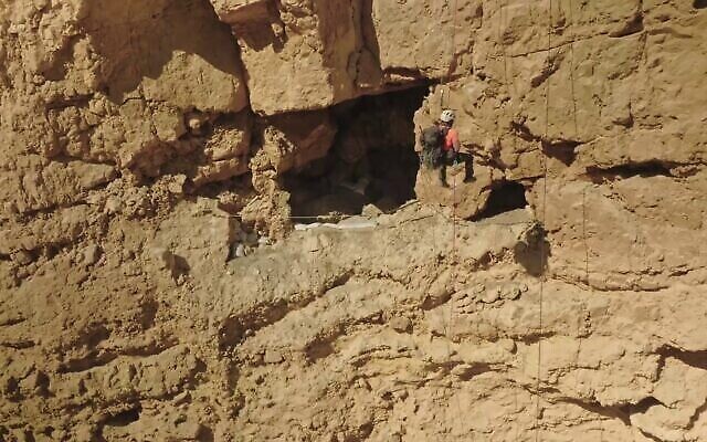 Hagay Hamer, archéologue du Judean Desert Survey de l'IAA, descend en rappel une falaise pour explorer une grotte du désert. (Crédit : Emil Aladjem/IAA)