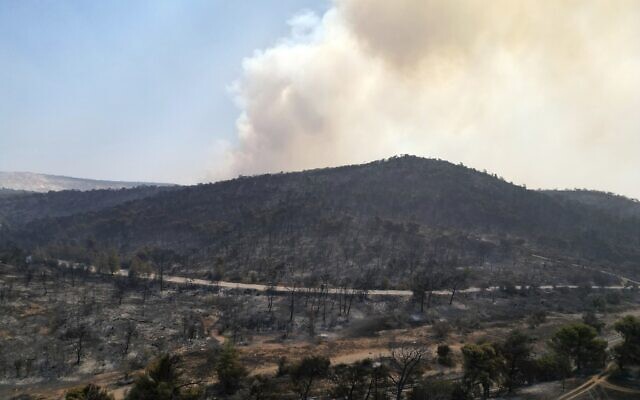 De la fumée s’élevant d'une montagne lors d'un incendie de forêt à Mandra, à l'ouest d'Athènes, en Grèce, le 19 juillet 2023. (Crédit : Thanassis Stavrakis/AP Photo)