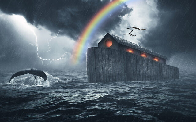 Le fabricant de la réplique exacte de l'arche de Noé veut l'emmener en  Israël - The Times of Israël