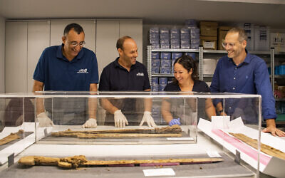 De droite à gauche : Asaf Gayer, Oriya Amichay, Eitan Klein et Amir Ganor, avec quelques-unes des épées romaines, au bureau de l'IAA, à Jérusalem. (Crédit : Yoli Schwartz/IAA)