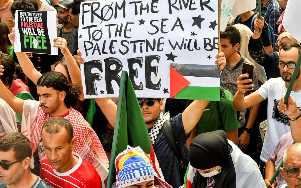 Des manifestants brandissent des pancartes en solidarité avec les Palestiniens de Gaza lors d'un rassemblement à Alger, le 19 octobre 2023. (Crédit : AFP)