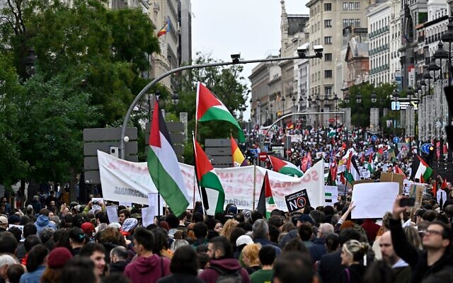 Des manifestants brandissant des drapeaux palestiniens et des pancartes lors d'une manifestation de soutien au peuple palestinien, à Madrid, en Espagne, le 29 octobre 2023. (Crédit : Javier Soriano/AFP)