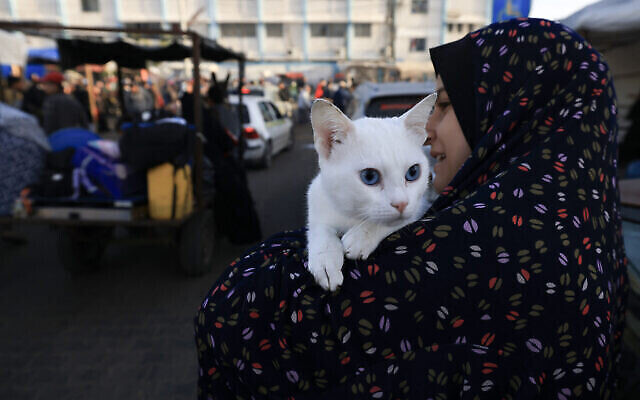 Une femme porte son chat alors que les Palestiniens qui s'étaient réfugiés dans des abris temporaires retournent chez eux dans l'est de Khan Younis, dans le sud de la bande de Gaza, pendant les premières heures d'une trêve de quatre jours dans la guerre entre le Hamas et Israël, le 24 novembre 2023. (Crédit : Mahmud Hams/AFP)