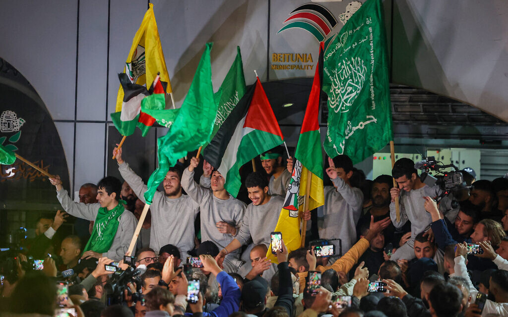 À Baytunia, en Cisjordanie, des prisonniers palestiniens (portant des pulls gris) brandissent des drapeaux palestiniens et du Hamas le 24 novembre 2023 après avoir été libérés de la prison militaire israélienne d'Ofer, en échange d'otages innocents libérés par le groupe terroriste palestinien qui les avaient capturés le 7 octobre et détenus depuis à Gaza. (Crédit : AHMAD GHARABLI / AFP)