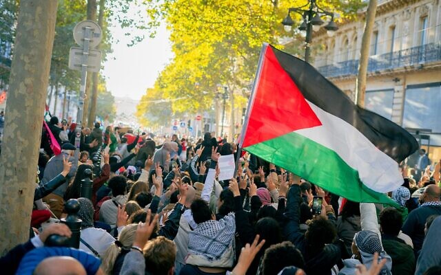 Manifestation anti-Israël, le 5 novembre 2023. (Crédit : Twitter)