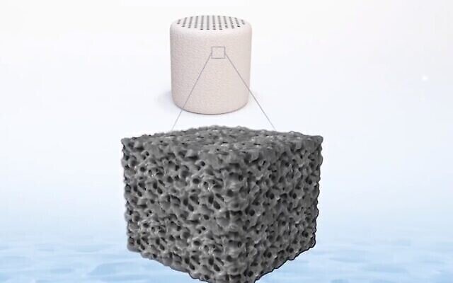 L'implant Agili-C de CartiHeal fabriqué à partir d'aragonite, une forme de carbonite calcique. (Capture d'écran)