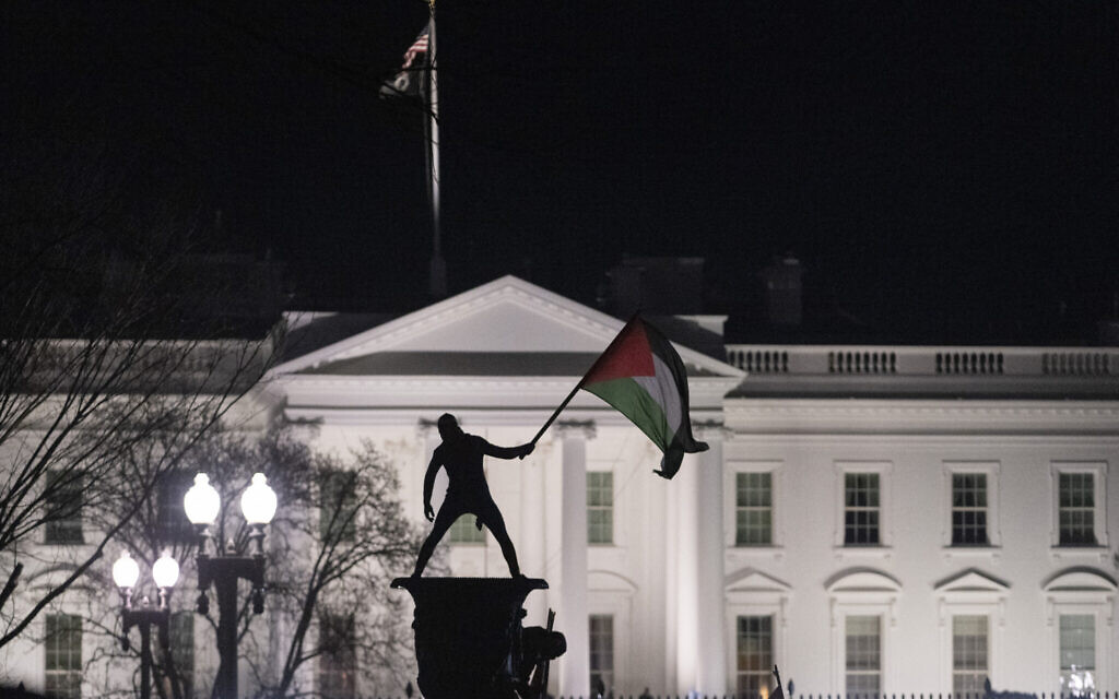 Un manifestant pro-palestinien brandissant un drapeau palestinien près de la Maison Blanche lors de la "Marche sur Washington pour Gaza" à Washington, le 13 janvier 2024. (Crédit : Roberto Schmidt/AFP)