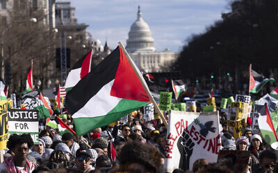 Avec le Capitole en arrière-plan, des manifestants rassemblés lors de la Marche sur Washington pour Gaza sur la Freedom Plaza, à Washington, le 13 janvier 2024. (Crédit : Jose Luis Magana/AP Photo)