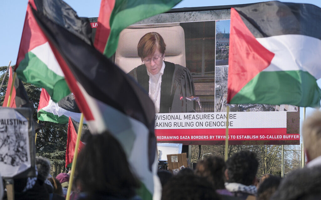 Des militants pro-palestiniens brandissant des drapeaux lors d'une session de la Cour internationale de justice,  à La Haye, aux Pays-Bas, le 26 janvier 2024. (Crédit : Patrick Post/AP Photo) 