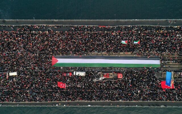 Manifestation anti-Israël à Istanbul, le 1er janvier 2024. (Crédit : Twitter)