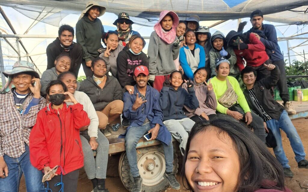 Des stagiaires agricoles indonésiens au travail dans les champs du Moshav Paran dans la vallée de l'Arava. (Crédit : Centre international de formation agricole d'Arava)