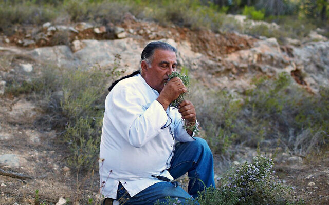 Moshe Basson en quête de nourriture dans les collines de Jérusalem pour son restaurant, Eucalyptus (Crédit : Moshe Basson)